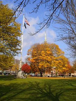 Natick common