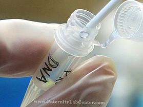 Justin Bieber DNA Test